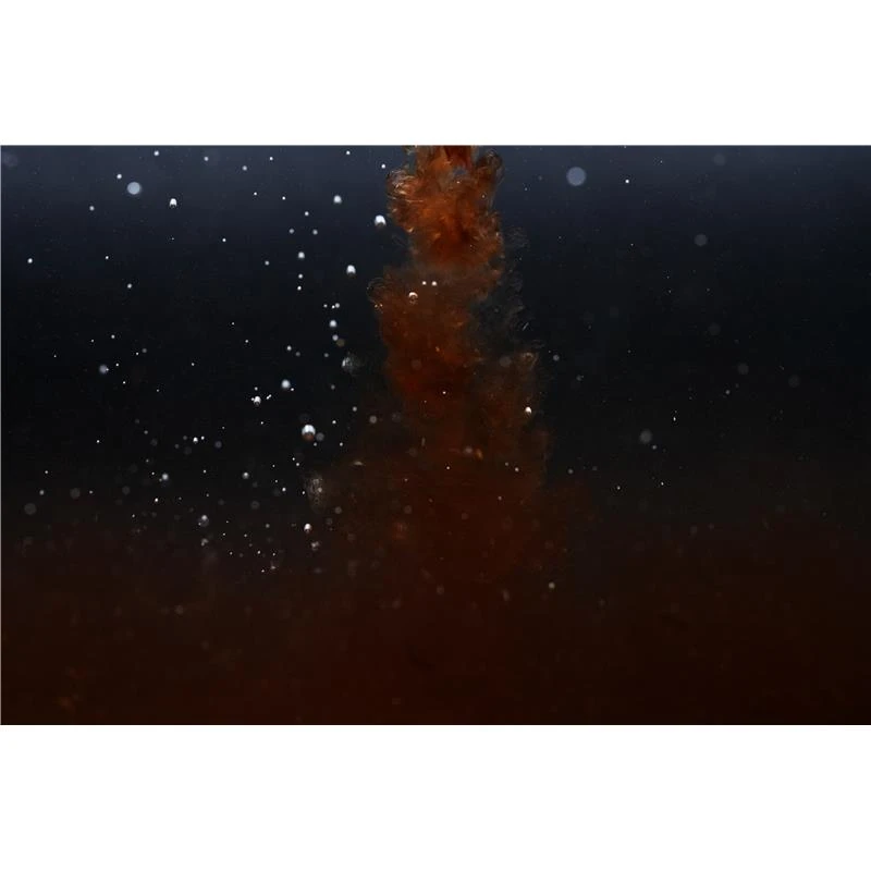 ATTRACTANT LIQUIDE STICKY BAITS CLOUDY BLOODWORM LIQUID – Image 3