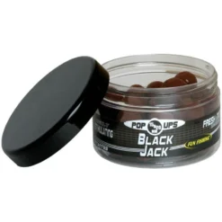 BOUILLETTE FLOTTANTE FUN FISHING BLACK JACK