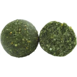 BOUILLETTE TUBERTINI COMPETITION MUSSEL-FISH