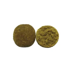 BOUILLETTE TUBERTINI COMPETITION PINAPPLE FISH