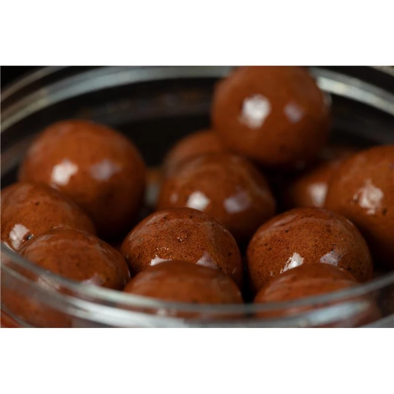 SPRAY STICKY BAITS BLOODWORM BAIT SPRAY â Image 4